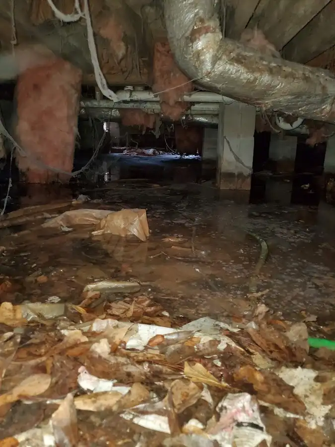 Crawl space flood assessment for Leak Detection & Repair in Green Valley