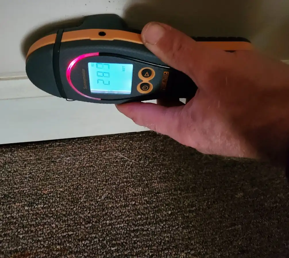 Moisture detection at baseboard during Mold Inspection & Testing in Green Valley